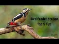 Bird Feeder Station Top 5 Tips