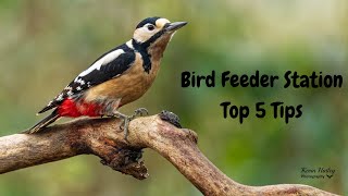 Bird Feeder Station Top 5 Tips