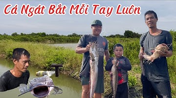 Không Ngờ Út Quân Quá GAN Khi Tập Thụt HANG Cá Ngát Bắt Nhiều Con Khủng / Tập 426