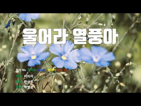 [은성반주기] 울어라열풍아 - 이미자 /MR/가사