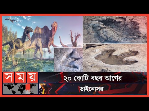 ভিডিও: ডাইনোসরের চারপাশে কি পাম গাছ ছিল?