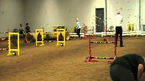 Risser Adv Jumpers Q
