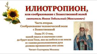 Илиотропион. Ч.2, гл.4 "О том, какой смысл и значение слов: да будет воля Твоя, яко на небеси и ..."