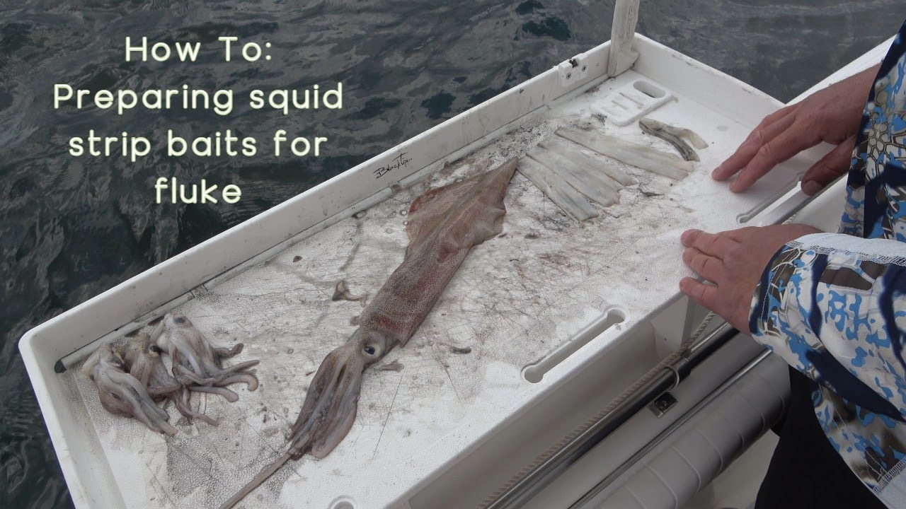 Preparing large squid 🦑 strip baits for fluke fishing 