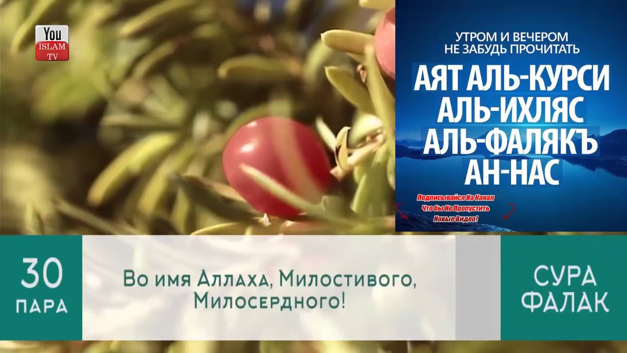 Суры из Корана от сглаза и порчи помогут Суры из Корана от сглаза и порчи помогут