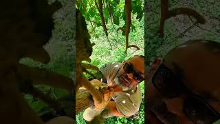 #smile #funny #stitchboutique #youtuber #automobile #stitchtricks #laugher #memes #comedy