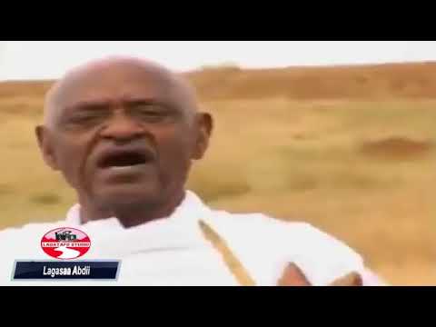 Lagasaa Abdii Oromo Music 10Convert Com