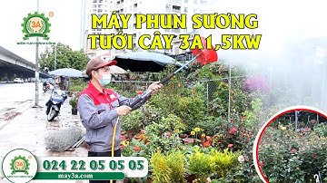 Máy Phun Sương Tưới Cây, Tưới Lan 3A1,5Kw - 4 béc phun sương nhỏ mịn, áp lực khỏe, phun xa 6 mét