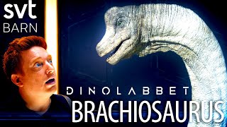 Brachiosaurus (Dinolabbet)