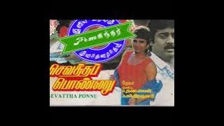 S.Janaki & Mano-Vadakku Kaathu Veesa(வடக்கு காத்து வீச)-Sevaththa Ponnu(செவத்தப் பொண்ணு(1994)