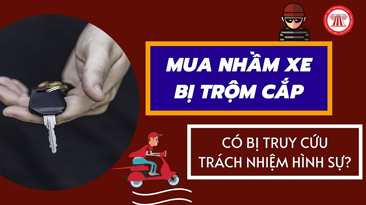 Mua xe không giấy tờ bị phạt như thế nào năm 2024