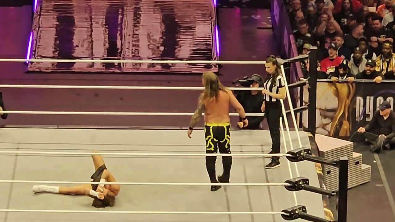 Hook and Chris Jericho Put on a Show for the AEW Fans! 