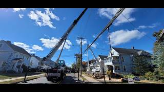 Crane Job Beech Tree Removal