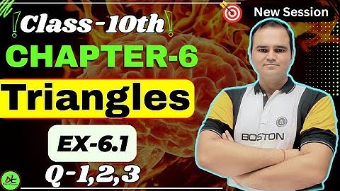 Ex 6.1 (Q1, 2, 3) Class 10 Maths | Chapter 6 Triangles | One Shot Solution | NCERT | Nexa Classes