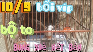 10/5 bổi víp bộ to bung xèo hết bản /mồi bao tét mọi địa hình