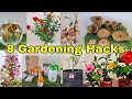 8 gardening hacks for all seasons  fertilizer for plants english cc