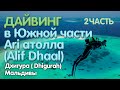 Мальдивы ( Maldives). Дайвинг в южной части Ari атолла ( Alif Dhaal) 2 часть