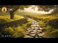 🔴 Zen Relaxation Music for Stress Relief and Healing, Calming Meditation Music, Relaxing Music Sleep