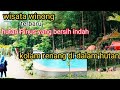 wisata Winong hutan pinus terbaru bersih ada kolam renang didalam hutan👍