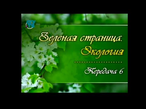 Экология. Передача 6. Хвойные экосистемы. Часть 1