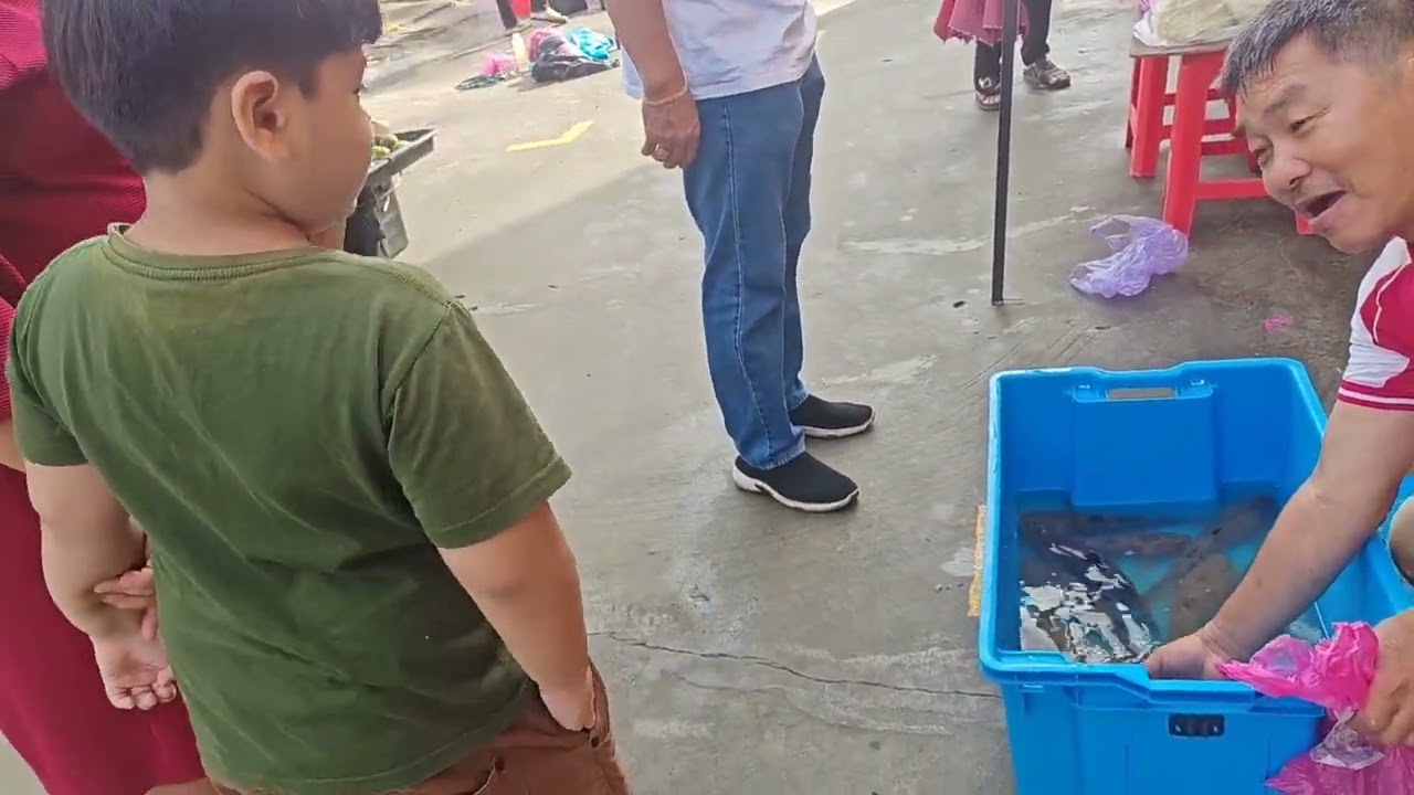 Tamu Indah, Teku Sibu pada 10.1.2026