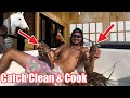I have a problem with my huge Horse Co... Catch Clean and Cook