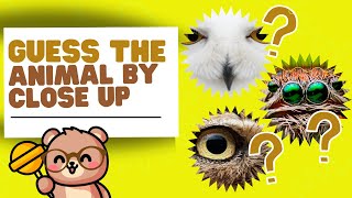 Guess the Animal Quiz  | Name the Animals by Close Up Guessing Game screenshot 2