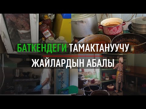 Video: Үй жаныбарларына кантип кам көрүү керек (сүрөттөрү менен)