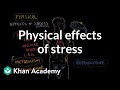 Physical effects of stress | Processing the Environment | MCAT | Khan Academy