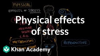 Physical effects of stress | Processing the Environment | MCAT | Khan Academy