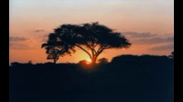 سورة ق بصوت علي خليف العنزي🤲