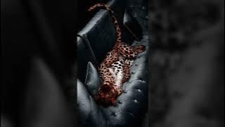 Kerosene - Crystal Castles (Slowed   8D Audio🎧)