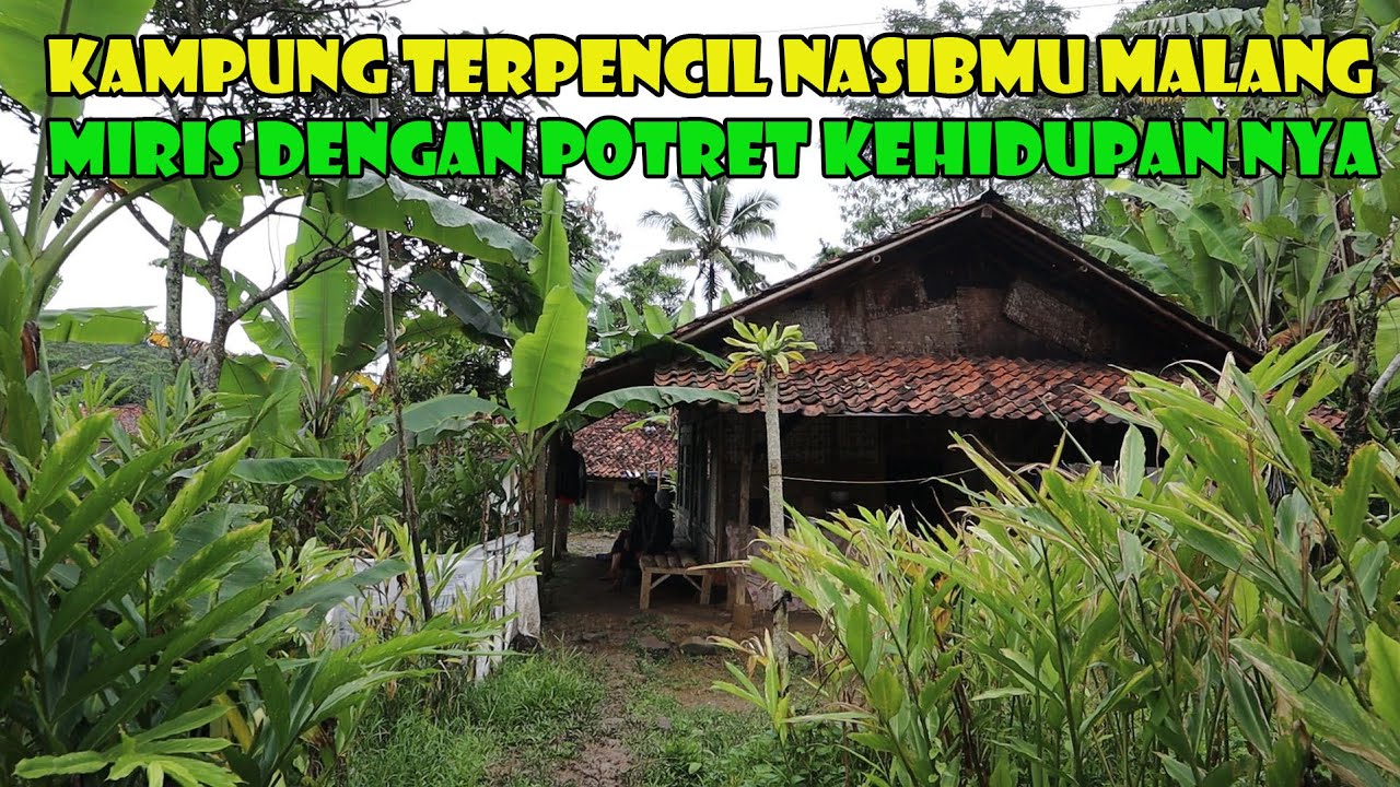 Kampung Terpencil Nasibmu Malang. Tinggal Di Pinggiran Sawah, Jauh Dari Kata Mewah.