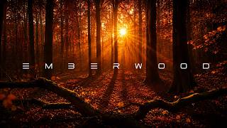 Where the Light Burns Within | EMBERWOOD | Deep Meditation for Inner Peace & Forest Sounds