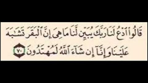 سورة البقره آيه 70  - 71