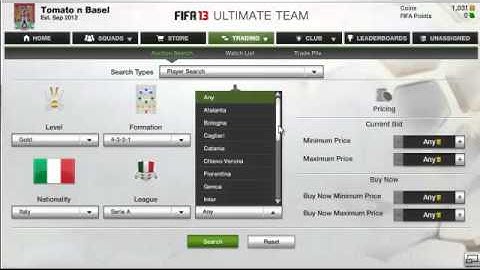 The Reason Why the FUT 13 Web App Was Down
