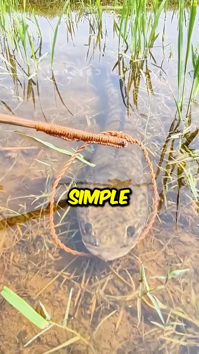 Unique Fishing Talents 😳