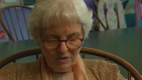 Robert Venturi & Denise Scott Brown - The Vanna Venturi house and the Philadelphia school (25/118)