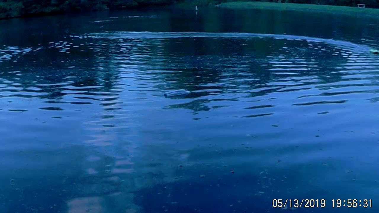 FAST! Brushless!! Jet Jam Pro boat converted to BRUSHLESS & Miss Geico brushed stock. RC boat