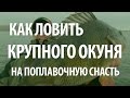 РЫБА ОКУНЬ на ПОПЛАВОЧНУЮ УДОЧКУ. ЛОВЛЯ КРУПНОГО ОКУНЯ