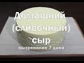 Домашний Крестьянский  сливочный сыр   вызревание 7 дней, отличный дебют  для начинающих сыроделов