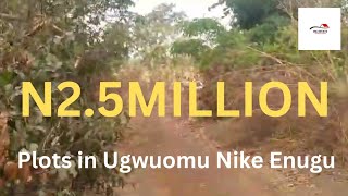 Inside a N2.5M ($2,700) Plots in Ugwuomu Nike Enugu Inside a N2.5M ($2,700) Plots in Ugwuomu Nike Enugu