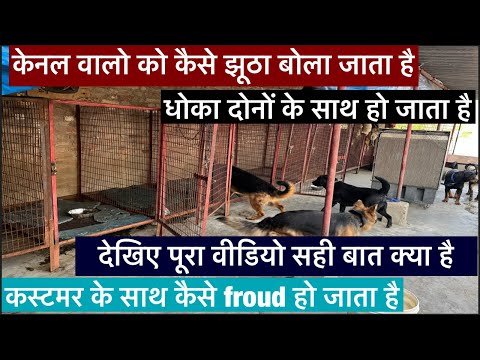 केनल वालो को कैसे झूठा बोला जाता है देखिए पूरा वीडियो पप्पी लेते समय कभी जल्द बाजी ना करे