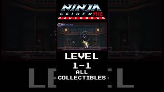 NINJA GAIDEN: Ragebound - LEVEL 1-1 All Collectibles