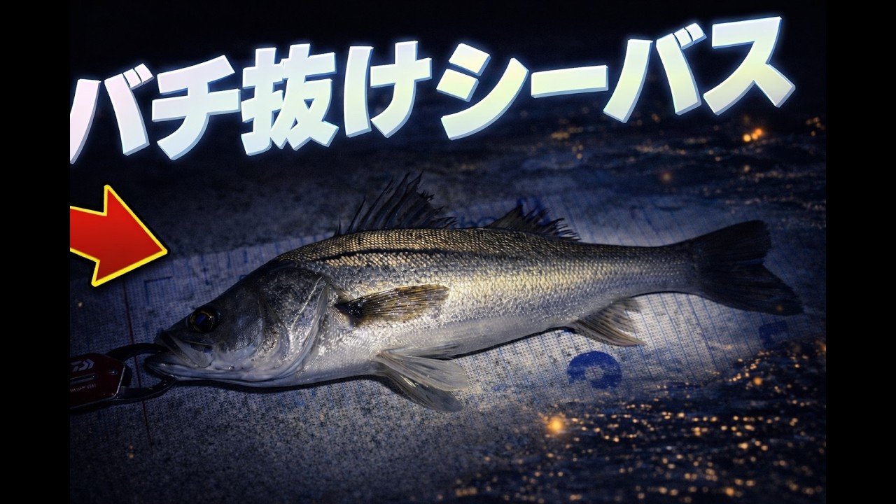 バチ抜けシーバスに挑戦