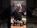 #jiujitsu #jiujitsukids #oss