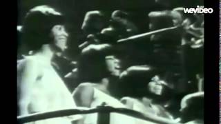 Hot Chip  Huarache Lights