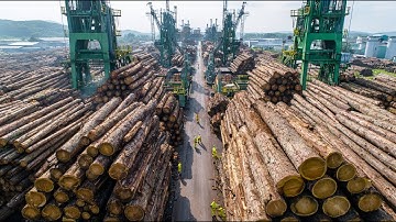 Van ruwe boomstam tot glanzende hanger – fabrieksgeheimen onthuld. Volledige documentaire over ho...