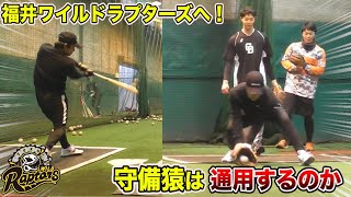 守備猿が福井ワイルドラプターズへ！硬式で打撃、守備は通用するか？【天晴プライド】