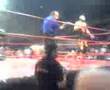 Extreme tiger rey misterio sr e hijo de rey misterio